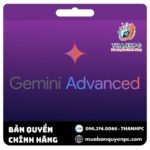 Bản Quyền GEMINI ADVANCE Chính Hãng